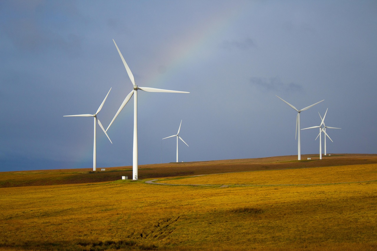 Wind turbines across open grassland with rainbow
